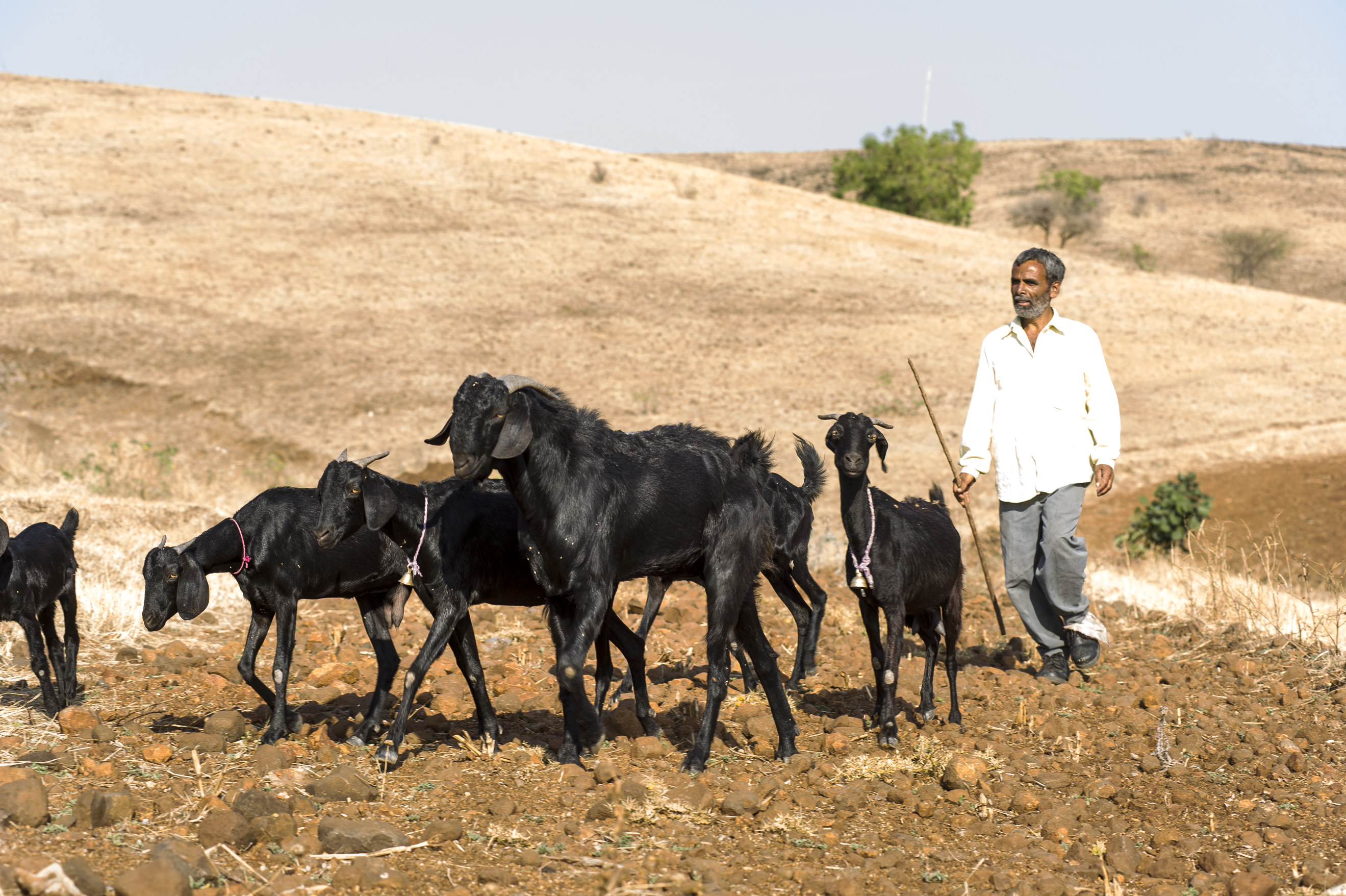 Questions: Mauritius Youth Parliament, Session 1