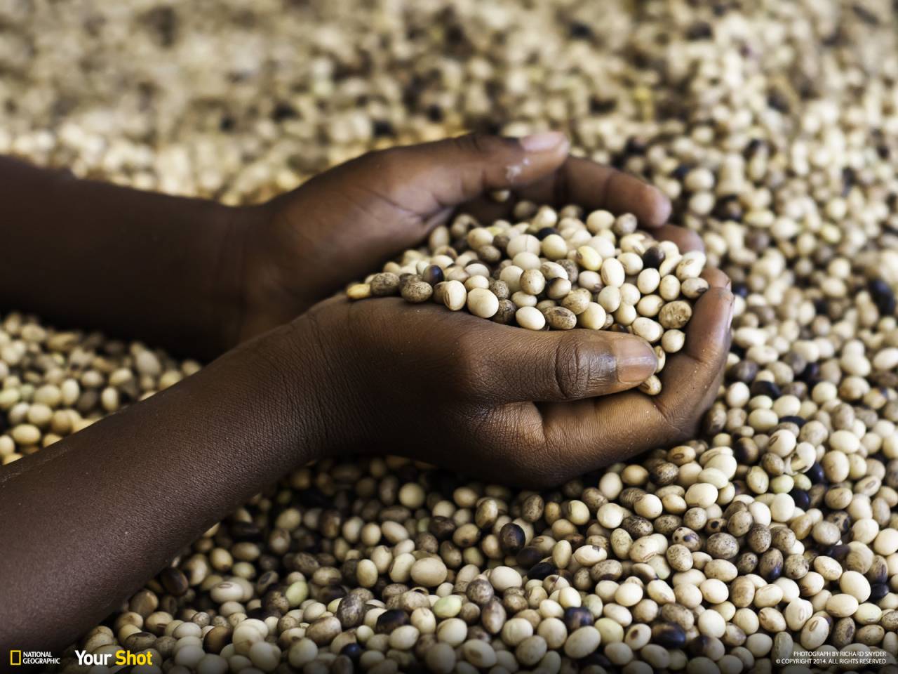 16 October: World Food Day