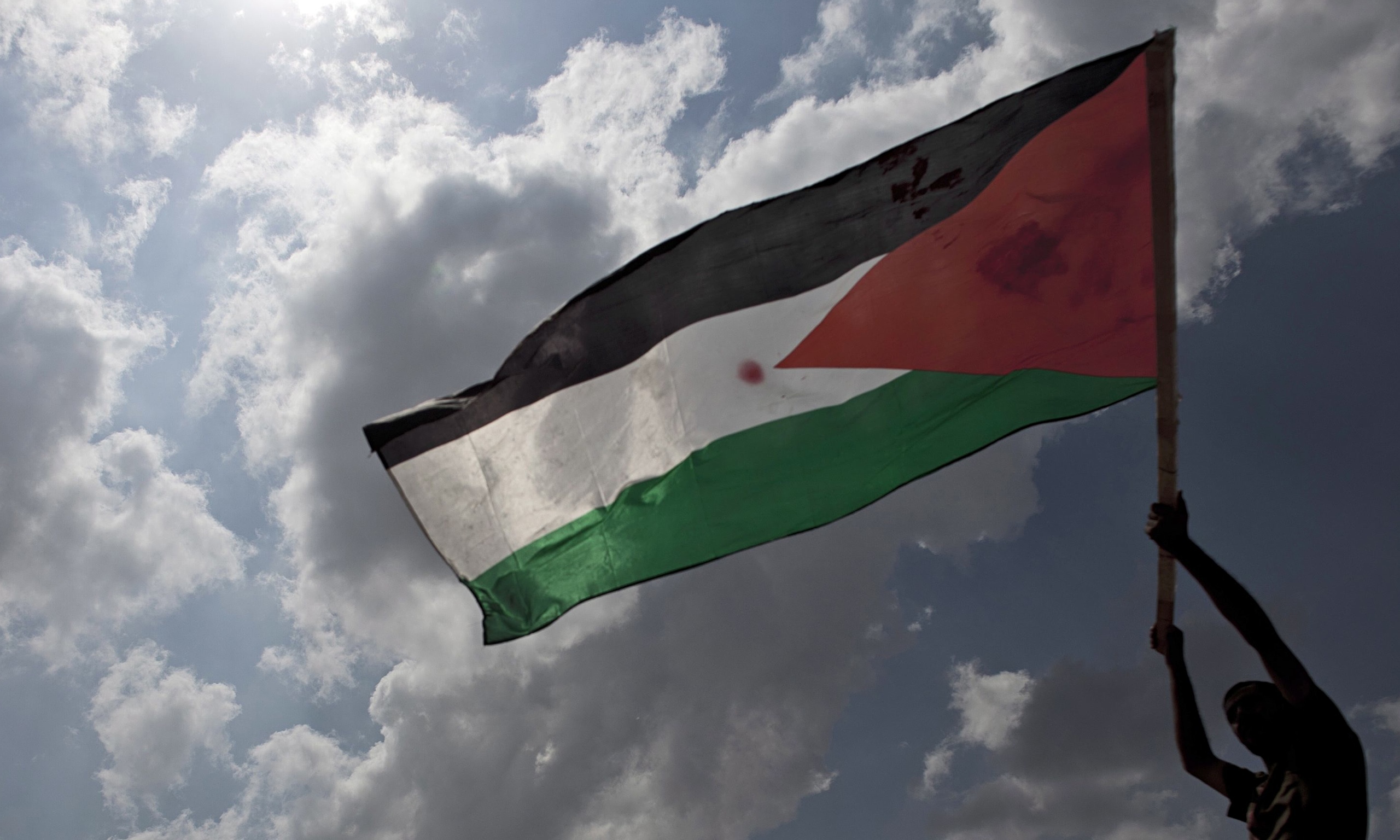 29 November: International Day of Solidarity with the Palestinian People
