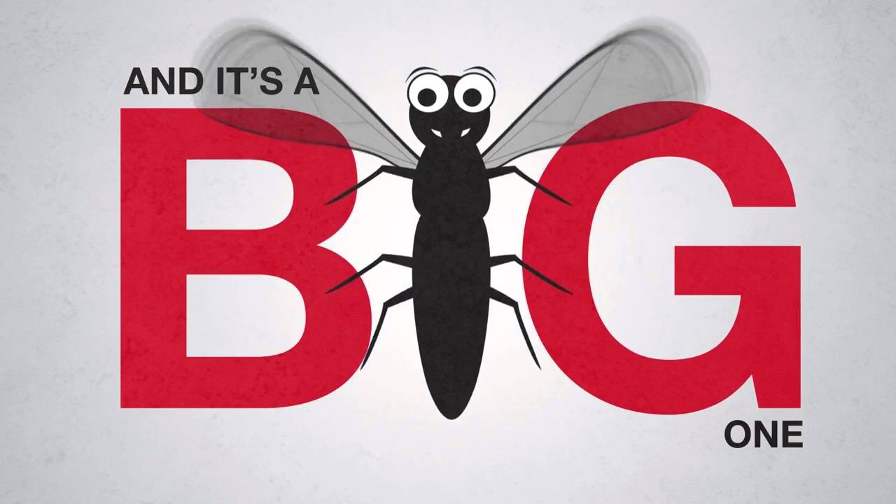 25 April: World Malaria Day