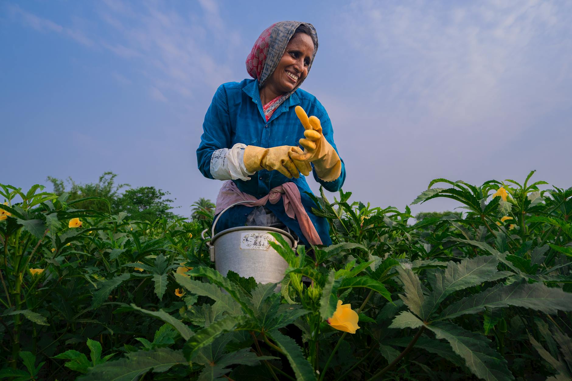 Empowering India’s Workforce: Creating Pathways to Employment for All